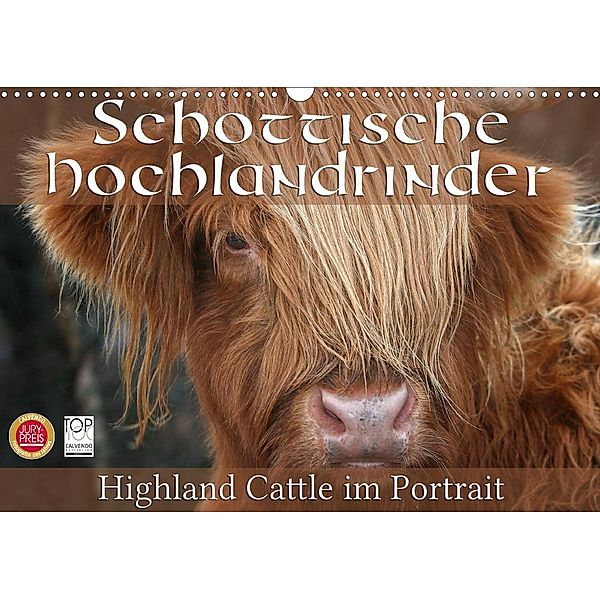 Schottische Hochlandrinder - Highland Cattle im Portrait (Wandkalender 2021 DIN A3 quer), Martina Cross
