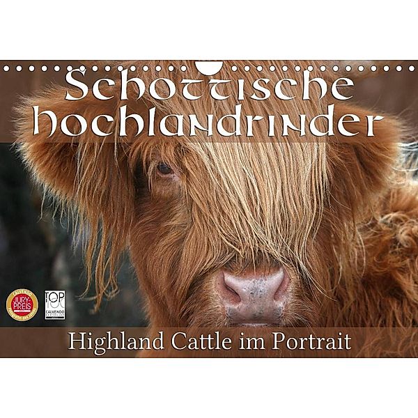 Schottische Hochlandrinder - Highland Cattle im Portrait (Wandkalender 2023 DIN A4 quer), Martina Cross