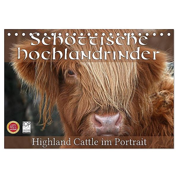 Schottische Hochlandrinder - Highland Cattle im Portrait (Tischkalender 2024 DIN A5 quer), CALVENDO Monatskalender, Martina Cross