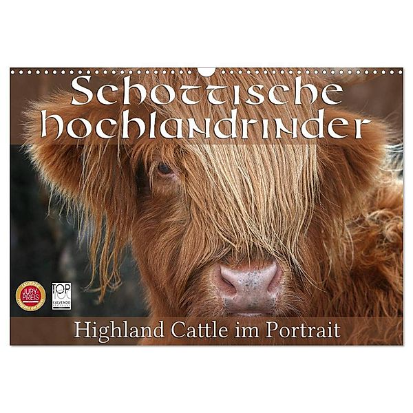 Schottische Hochlandrinder - Highland Cattle im Portrait (Wandkalender 2024 DIN A3 quer), CALVENDO Monatskalender, Martina Cross