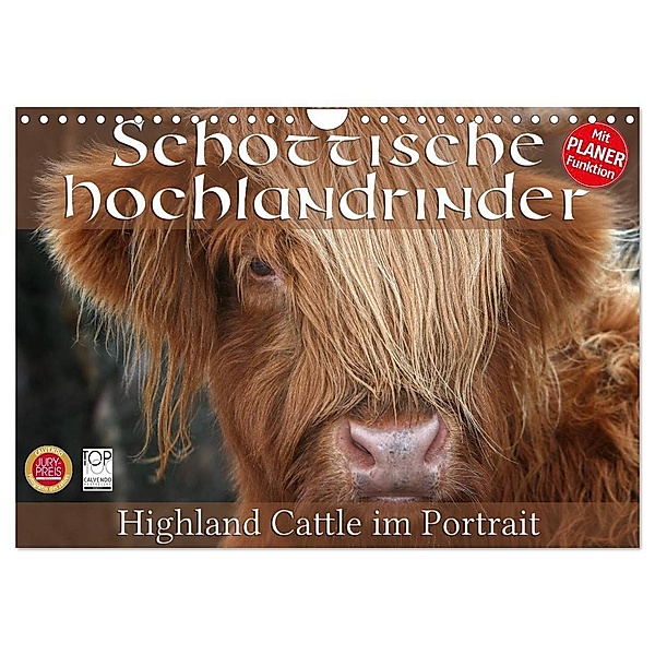 Schottische Hochlandrinder - Highland Cattle im Portrait (Wandkalender 2024 DIN A4 quer), CALVENDO Monatskalender, Martina Cross