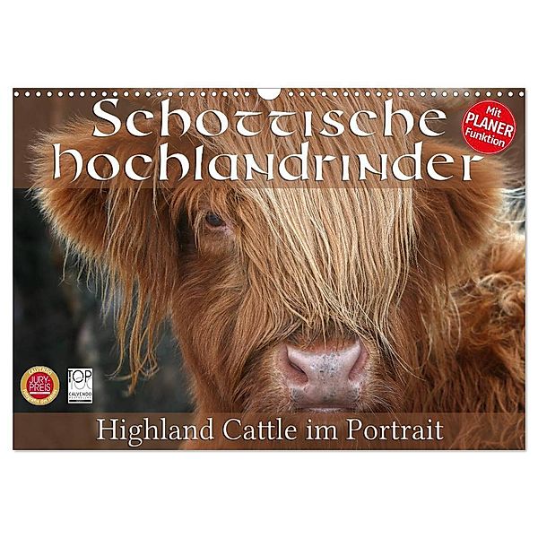 Schottische Hochlandrinder - Highland Cattle im Portrait (Wandkalender 2024 DIN A3 quer), CALVENDO Monatskalender, Martina Cross