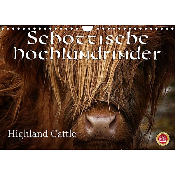 Schottische Hochlandrinder - Highland CattleAT-Version  (Wandkalender 2023 DIN A4 quer), Martina Cross