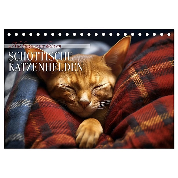 Schottische Katzenhelden (Tischkalender 2024 DIN A5 quer), CALVENDO Monatskalender, Calvendo, Daniela Tapper