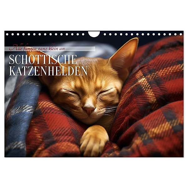 Schottische Katzenhelden (Wandkalender 2025 DIN A4 quer), CALVENDO Monatskalender, Calvendo, Daniela Tapper