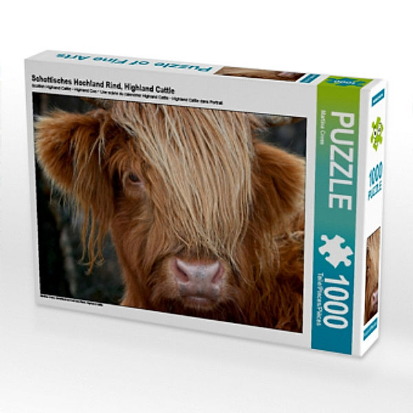 Schottisches Hochland Rind, Highland Cattle (Puzzle), Martina Cross