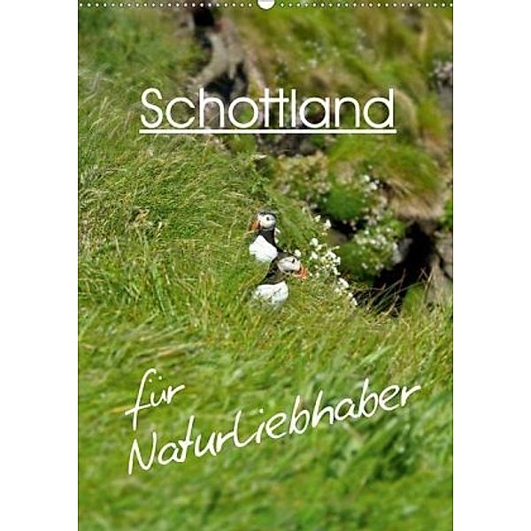 Schottland für Naturliebhaber (Wandkalender 2020 DIN A2 hoch), Anja Schäfer