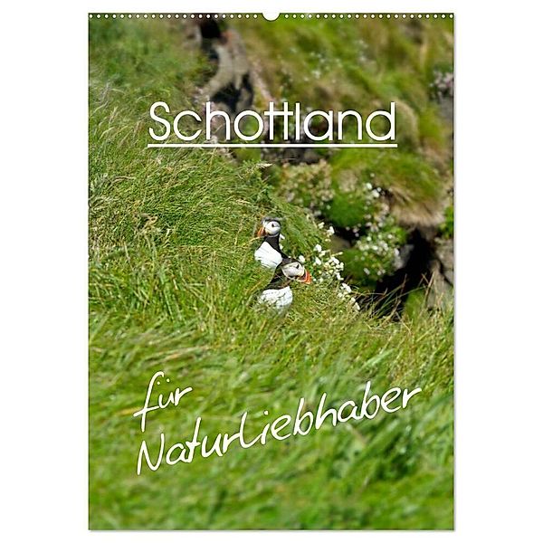 Schottland für Naturliebhaber (Wandkalender 2024 DIN A2 hoch), CALVENDO Monatskalender, Anja Schäfer