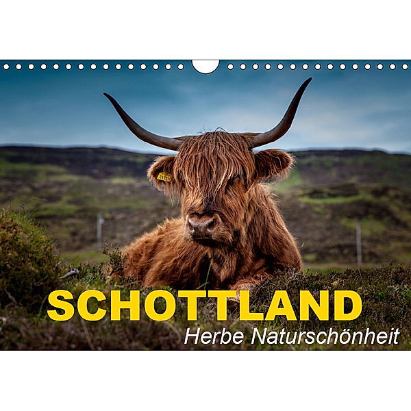 Schottland - Herbe Naturschönheit (Wandkalender 2019 DIN A4 quer), Elisabeth Stanzer