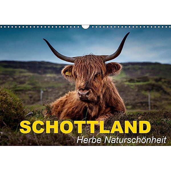 Schottland - Herbe Naturschönheit (Wandkalender 2021 DIN A3 quer), Elisabeth Stanzer