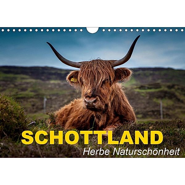 Schottland - Herbe Naturschönheit (Wandkalender 2021 DIN A4 quer), Elisabeth Stanzer
