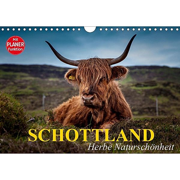 Schottland. Herbe Naturschönheit (Wandkalender 2021 DIN A4 quer), Elisabeth Stanzer