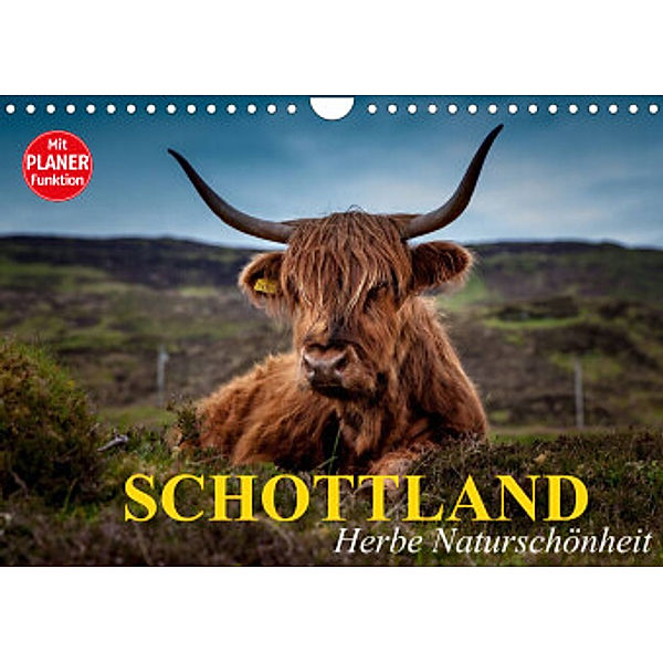 Schottland. Herbe Naturschönheit (Wandkalender 2022 DIN A4 quer), Elisabeth Stanzer