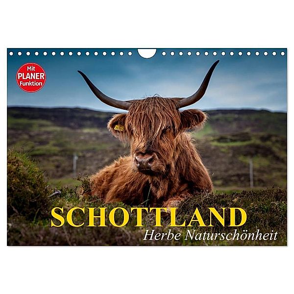 Schottland. Herbe Naturschönheit (Wandkalender 2024 DIN A4 quer), CALVENDO Monatskalender, Elisabeth Stanzer