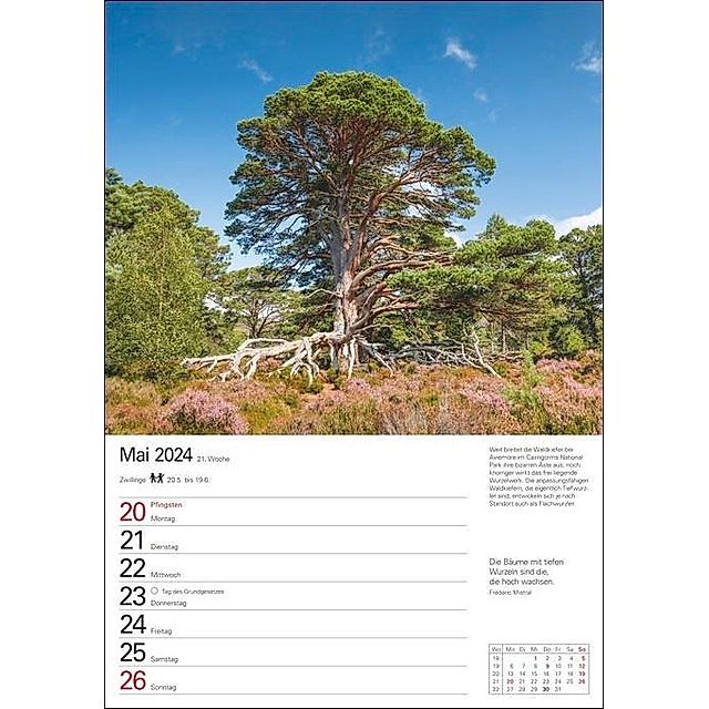 Schottland Wochenplaner 2024. Schön und praktisch: Terminkalender mit  tollen Fotos von Schottland, Wochenkalendarium und - Kalender bestellen
