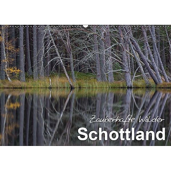 Schottland - Zauberhafte Wälder (Wandkalender 2019 DIN A2 quer), Ferry BÖHME