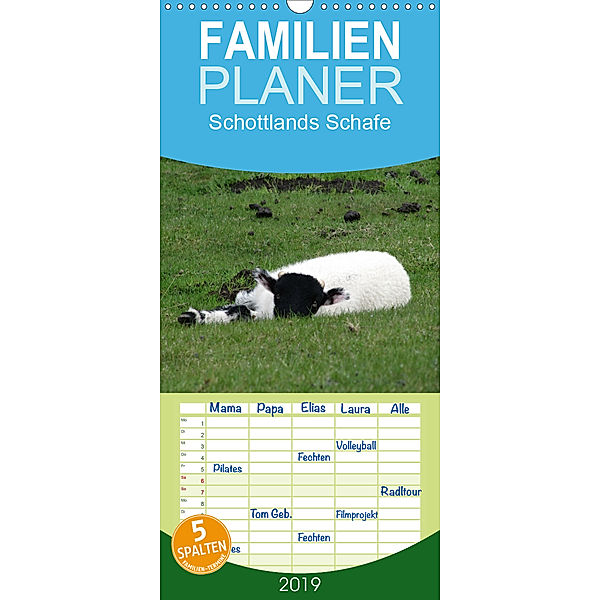 Schottlands Highland Schafe - Familienplaner hoch (Wandkalender 2019 , 21 cm x 45 cm, hoch)