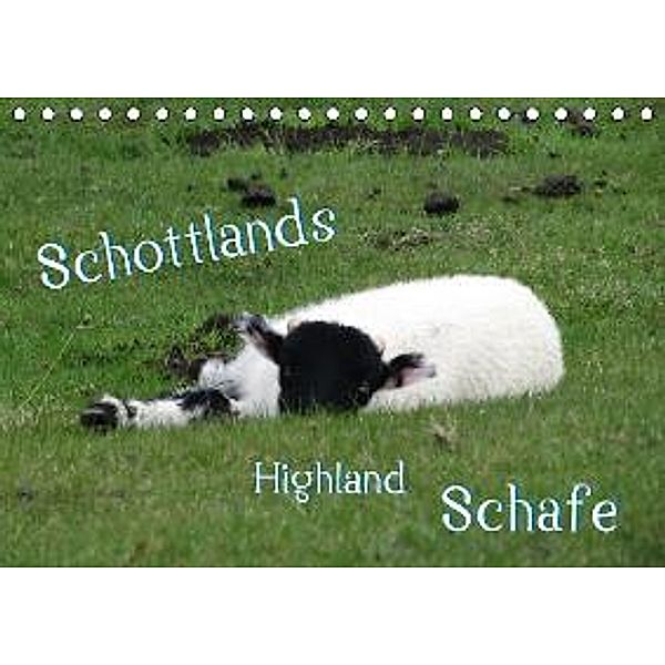 Schottlands Highland Schafe (Tischkalender 2016 DIN A5 quer), bwd