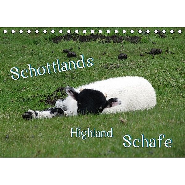 Schottlands Highland Schafe (Tischkalender 2017 DIN A5 quer), ~bwd~