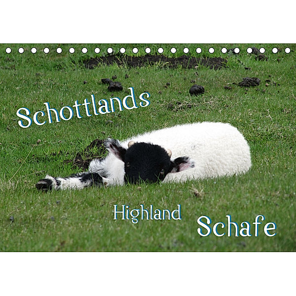 Schottlands Highland Schafe (Tischkalender 2020 DIN A5 quer)