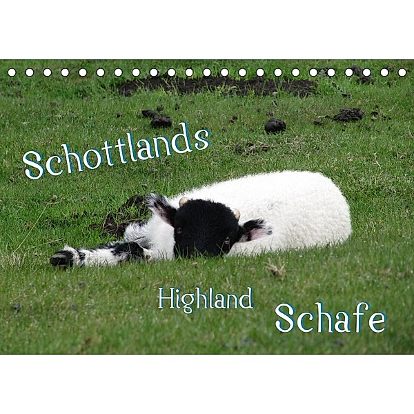 Schottlands Highland Schafe (Tischkalender 2023 DIN A5 quer), ~bwd~