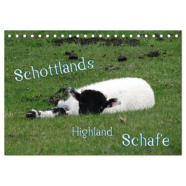 Schottlands Highland Schafe (Tischkalender 2024 DIN A5 quer), CALVENDO Monatskalender, ~bwd~