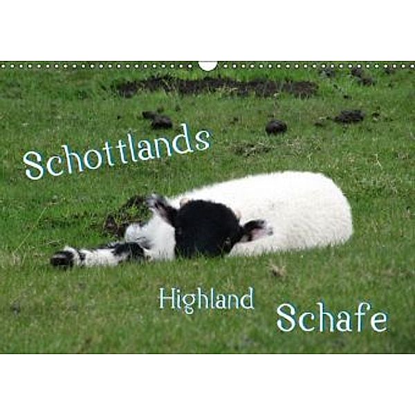 Schottlands Highland Schafe (Wandkalender 2016 DIN A3 quer), bwd