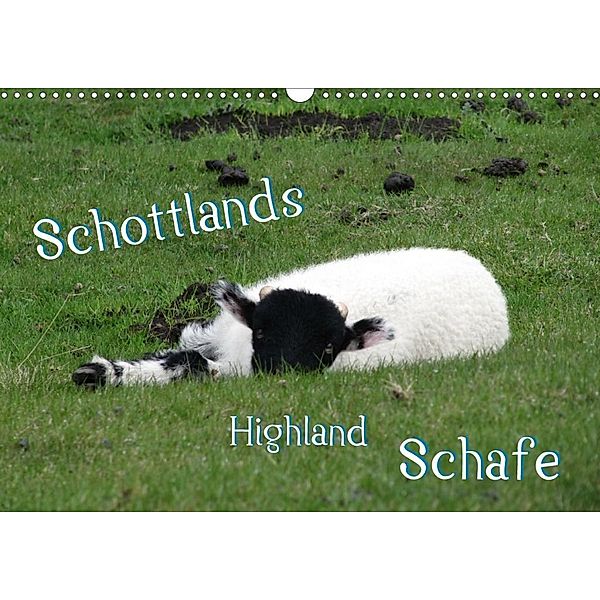 Schottlands Highland Schafe (Wandkalender 2020 DIN A3 quer)