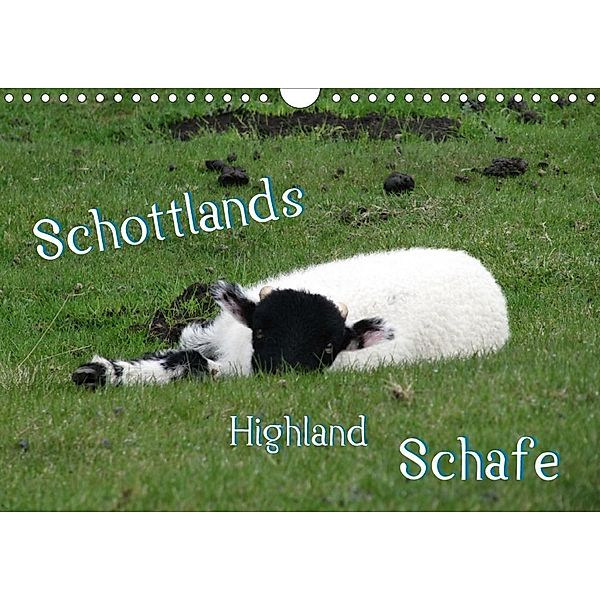 Schottlands Highland Schafe (Wandkalender 2020 DIN A4 quer)