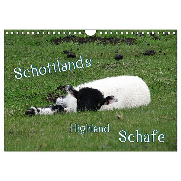 Schottlands Highland Schafe (Wandkalender 2024 DIN A4 quer), CALVENDO Monatskalender, ~bwd~