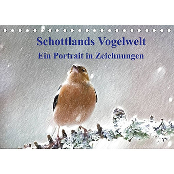 Schottlands Vogelwelt - Ein Porträt in Zeichnungen (Tischkalender 2022 DIN A5 quer), Friederike Küster