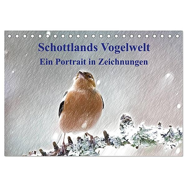 Schottlands Vogelwelt - Ein Porträt in Zeichnungen (Tischkalender 2024 DIN A5 quer), CALVENDO Monatskalender, Friederike Küster