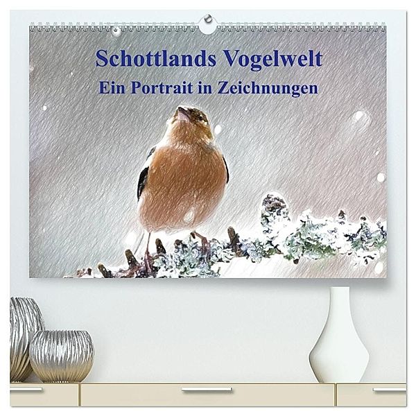 Schottlands Vogelwelt - Ein Porträt in Zeichnungen (hochwertiger Premium Wandkalender 2025 DIN A2 quer), Kunstdruck in Hochglanz, Calvendo, Friederike Küster