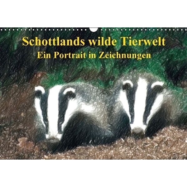 Schottlands wilde Tierwelt - Ein Porträt in Zeichnungen (Wandkalender 2016 DIN A3 quer), Friederike Küster