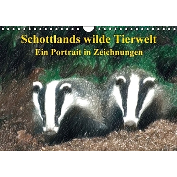 Schottlands wilde Tierwelt - Ein Porträt in Zeichnungen (Wandkalender 2016 DIN A4 quer), Friederike Küster