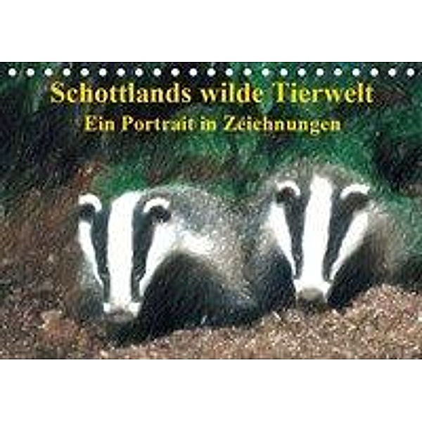 Schottlands wilde Tierwelt - Ein Porträt in Zeichnungen (Tischkalender 2019 DIN A5 quer), Friederike Küster