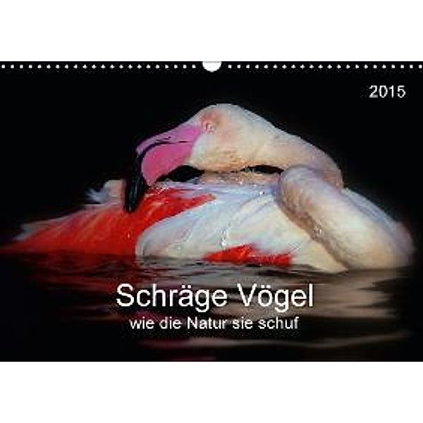 Schräge Vögel, wie die Natur sie schuf (Wandkalender 2015 DIN A3 quer), Rainer Nowak