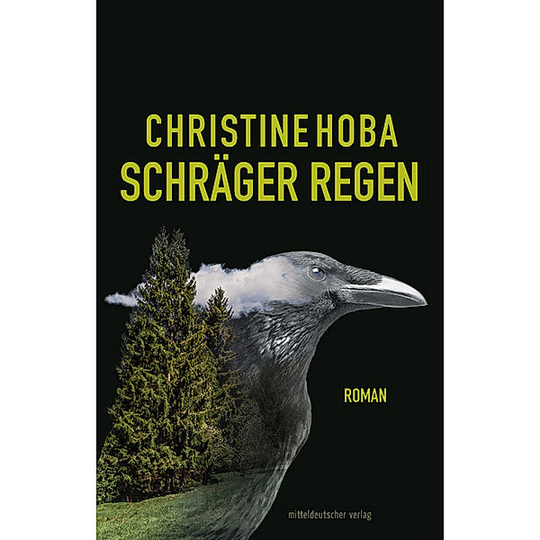 Schräger Regen, Christine Hoba