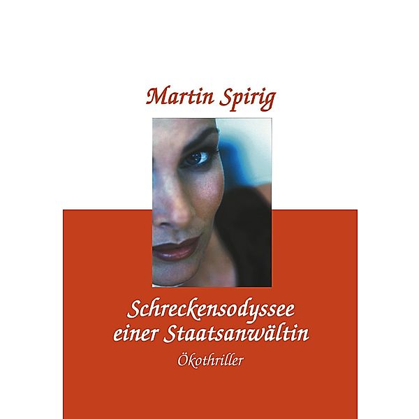 Schreckensodyssee einer Staatsanwältin, Martin Spirig