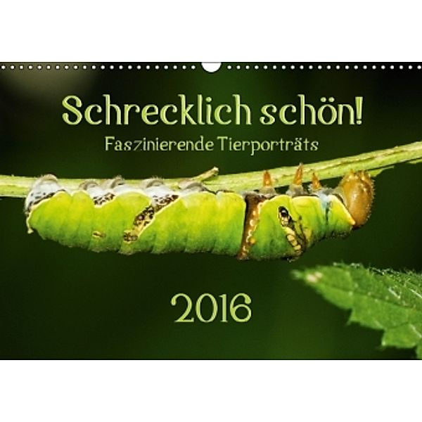 Schrecklich schön! Faszinierende Tierporträts (Wandkalender 2016 DIN A3 quer), Anke Grau