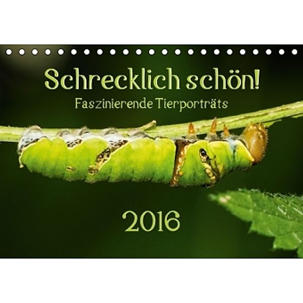 Schrecklich schön! Faszinierende Tierporträts (Tischkalender 2016 DIN A5 quer), Anke Grau