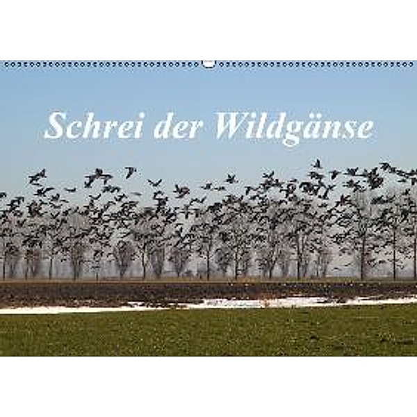 Schrei der Wildgänse / AT-Version (Wandkalender 2015 DIN A2 quer), Rolf Pötsch