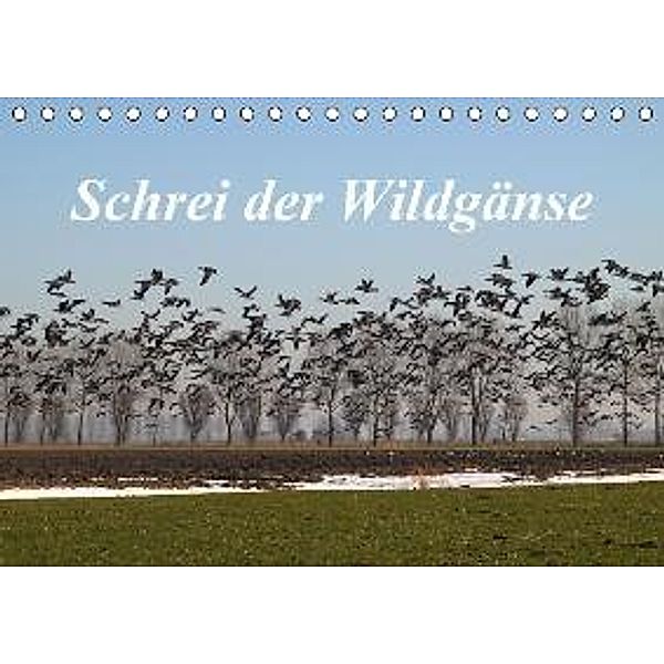 Schrei der Wildgänse / CH-Version (Tischkalender 2015 DIN A5 quer), Rolf Pötsch