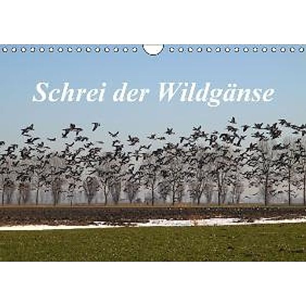 Schrei der Wildgänse / CH-Version (Wandkalender 2015 DIN A4 quer), Rolf Pötsch