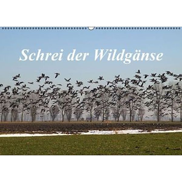 Schrei der Wildgänse (Wandkalender 2016 DIN A2 quer), Rolf Pötsch