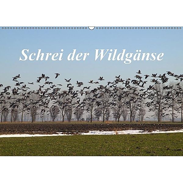 Schrei der Wildgänse (Wandkalender 2017 DIN A2 quer), Rolf Pötsch