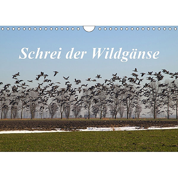 Schrei der Wildgänse (Wandkalender 2019 DIN A4 quer), Rolf Pötsch