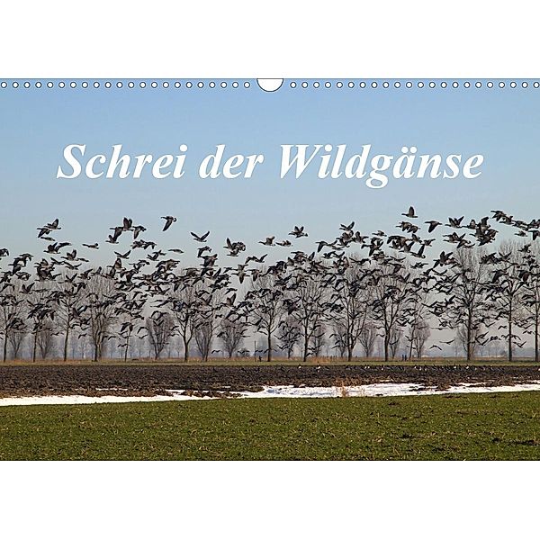 Schrei der Wildgänse (Wandkalender 2021 DIN A3 quer), Rolf Pötsch