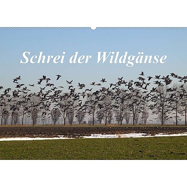 Schrei der Wildgänse (Wandkalender 2023 DIN A2 quer), rolf pötsch