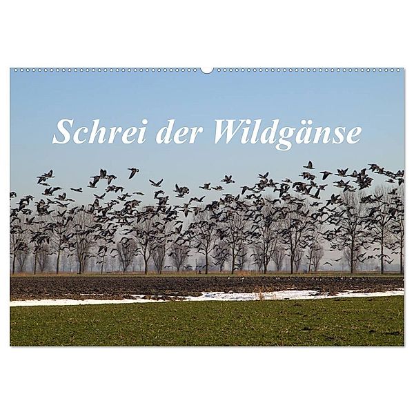 Schrei der Wildgänse (Wandkalender 2024 DIN A2 quer), CALVENDO Monatskalender, rolf pötsch